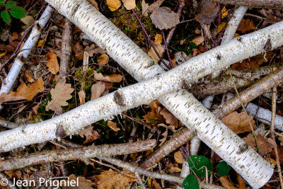 Automne 2018