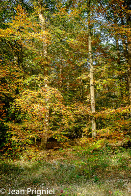 Automne 2018