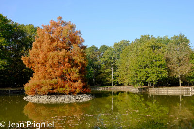 Automne 2018
