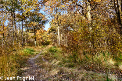 Automne 2018