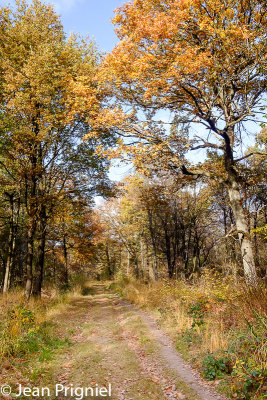 Automne 2018