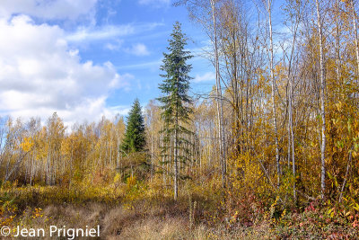 Automne 2018