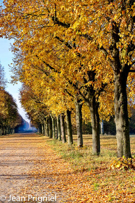 Automne 2018