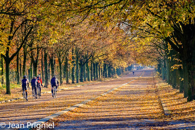Automne 2018