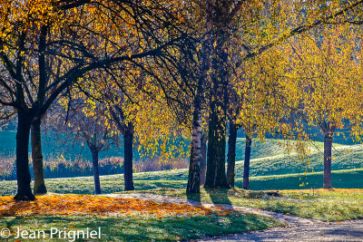 Automne 2018