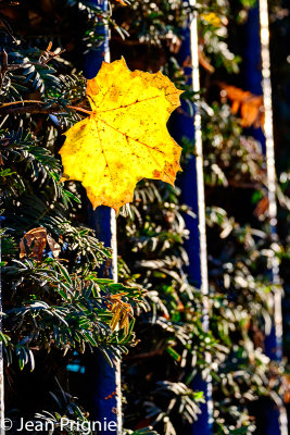 Automne 2018