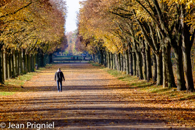 Automne 2018