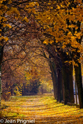 Automne 2018
