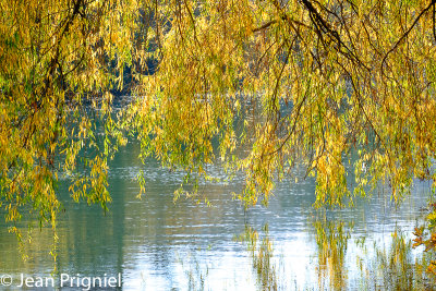 Automne 2018