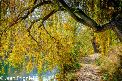 Automne 2018