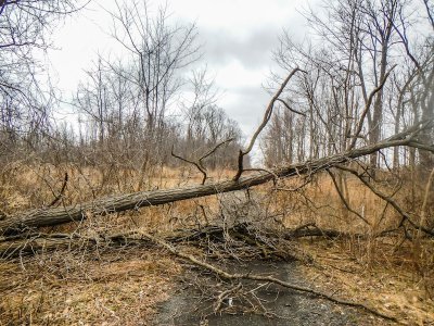 blowdown