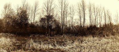sepia toned panorama