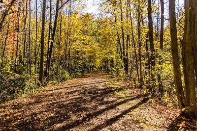 trail
