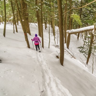 Snowshoeing at Wesley Hill Nature Preserve