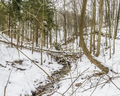 Abraham Lincoln Park Hike