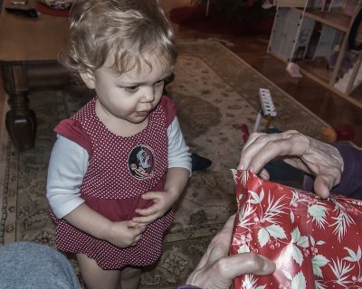 DSC_9034.jpg