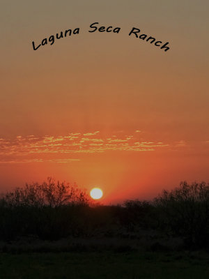 Laguna Seca Ranch Sunrise
