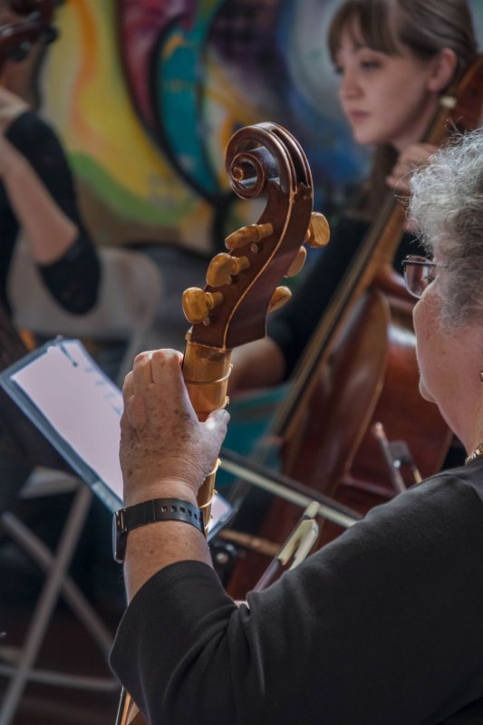 Viola da Gamba