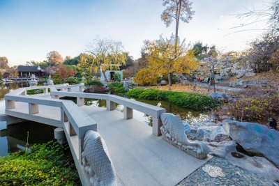 Bridge of the Joy of Fish魚 樂 橋