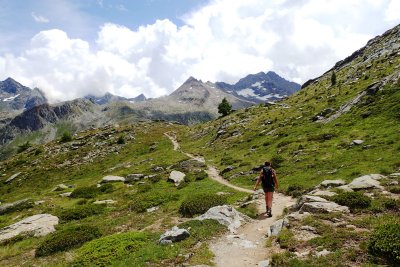 Rugged mountain trail