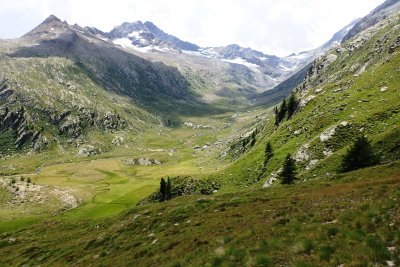 Alpe del Bardoney