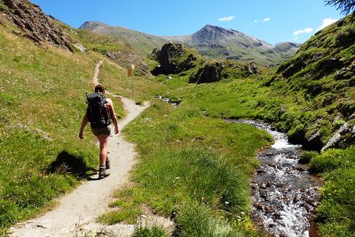 Along a mountain stream