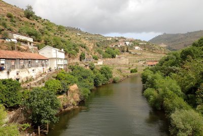 Tributary of the Douro