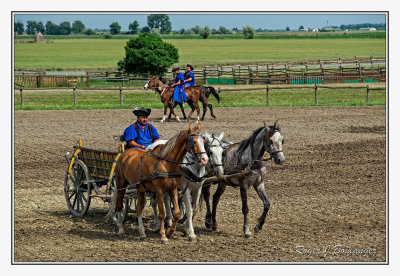 Bakodpuszta Equestrian Center