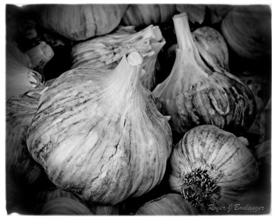 Sebastopol Farmers Market