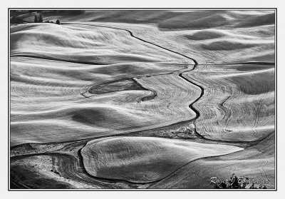 Palouse 2018 B&W Images