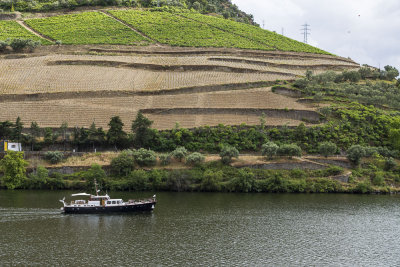 075-Duoro-06-8-14.jpg
