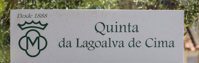 196-Coimbra-06-12-14.jpg