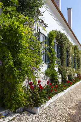 226-Evora-06-13-14.jpg