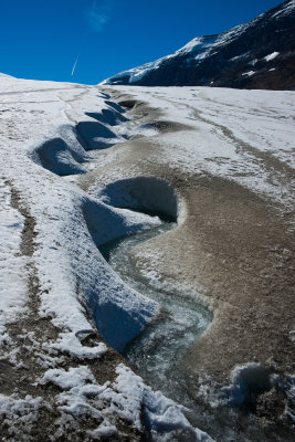 Athabasca Glacier