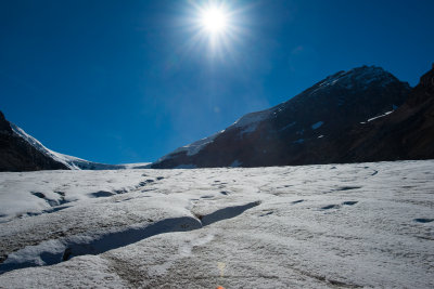 Athabasca Glacier