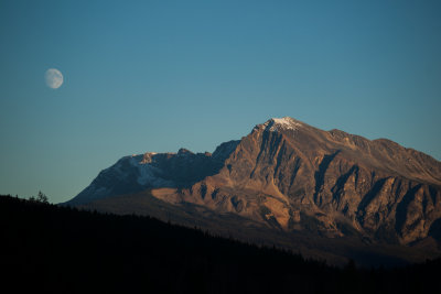 Rockies
