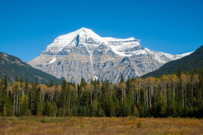 Mt. Robson