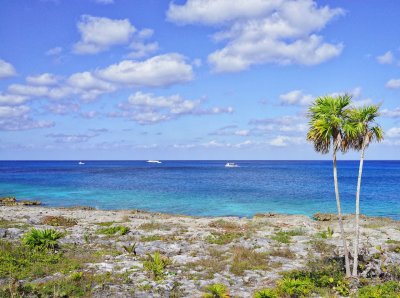 Most of the Cozumel coast is coral rock, not sand