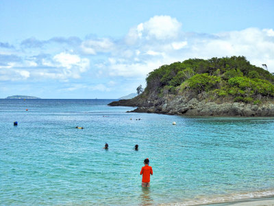 Trunk Bay Snorkel Trail (between the bouys)