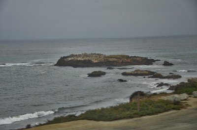 Pelican Rock, Pacifica