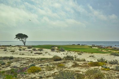 Links golf on the Monterey Peninsula