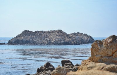 Bird Rock on the Monterey Peninsula