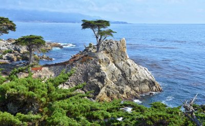 The Lone Cypress on 17-Mile Drive