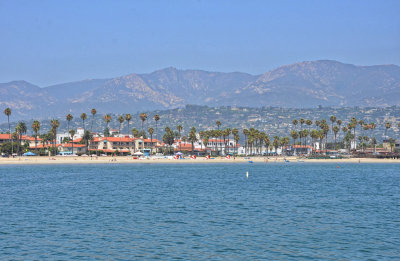 Santa Barbara - lots of beach and tall palms