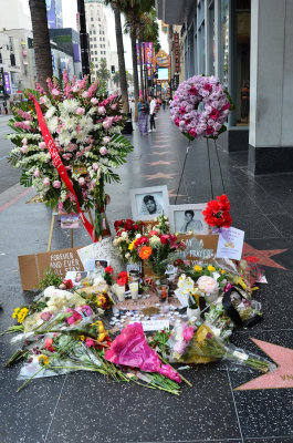 Aretha Franklin's Star the day she died