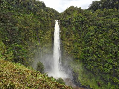 Akaka Falls (over 400 ft) on Big Island