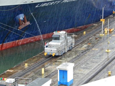 A Mule working in the heavy rain