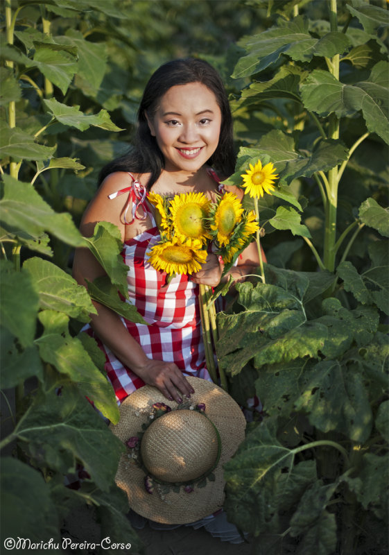 Found the smallest Sunflower in the field...Columbia, MO July2018