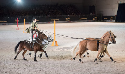 Gala D`oro