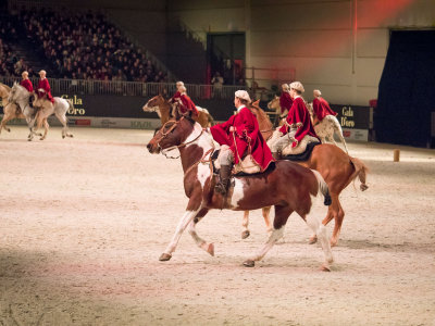 Gala D`oro